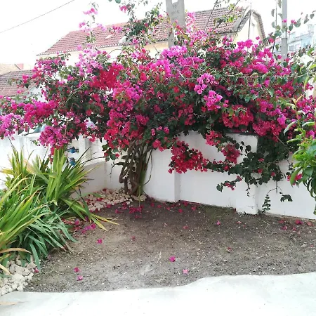 Casa Do Cristo Rei דירה אלמאדה